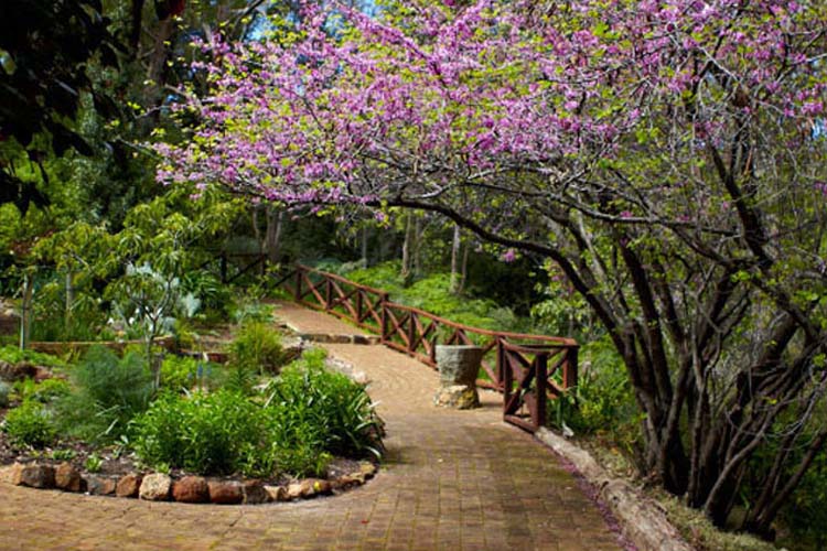  Araluen Botanic Park