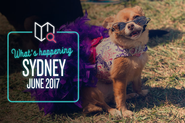 whats-happening-june-2017-sydney